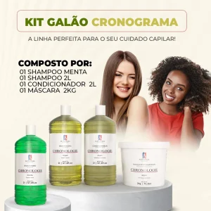 15277442270-kit-galao-1-sh-argan-1-sh-menta-cond-argan-2l-hid-argan-balde-2kg-alphahall-953-1-280094bfafd72.webp